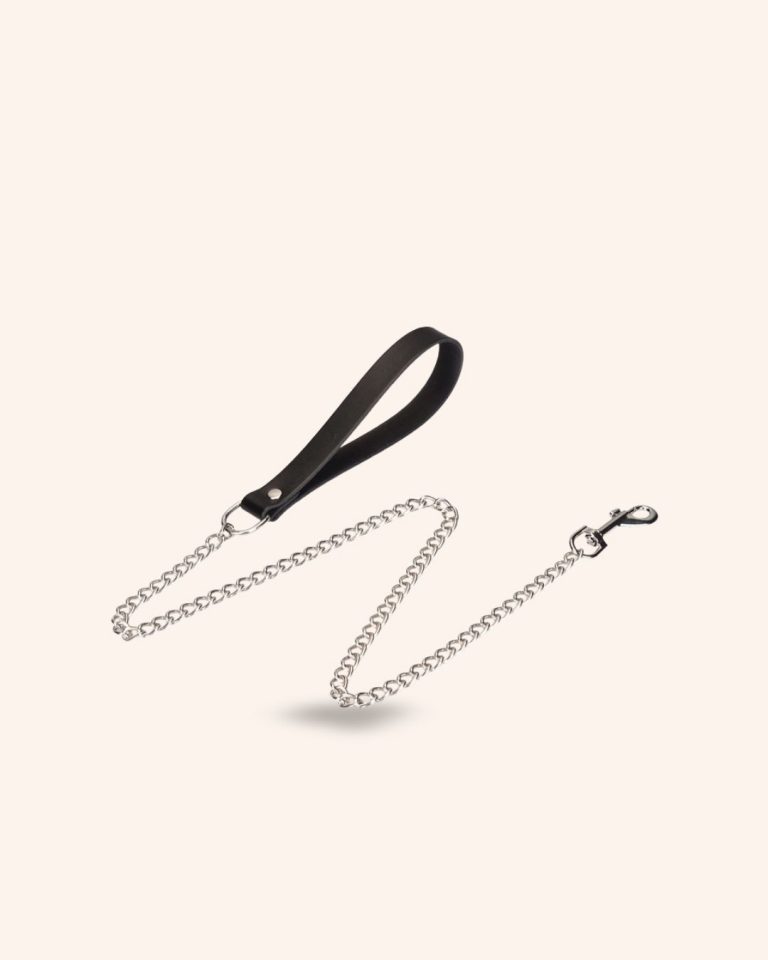Set 2 pièces Collier de soumission + Laisse MONSIEUR KLEIN – Image 5