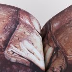 TROPIQUE DU CANCER  I Ulrich Lebeuf 🇫🇷 – Image 4