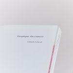 TROPIQUE DU CANCER  I Ulrich Lebeuf 🇫🇷 – Image 12