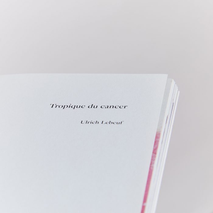 TROPIQUE DU CANCER  I Ulrich Lebeuf 🇫🇷 – Image 12