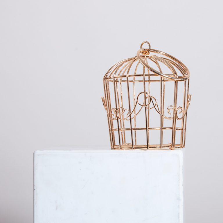 Sac L'AMOUR EN CAGE – Image 4