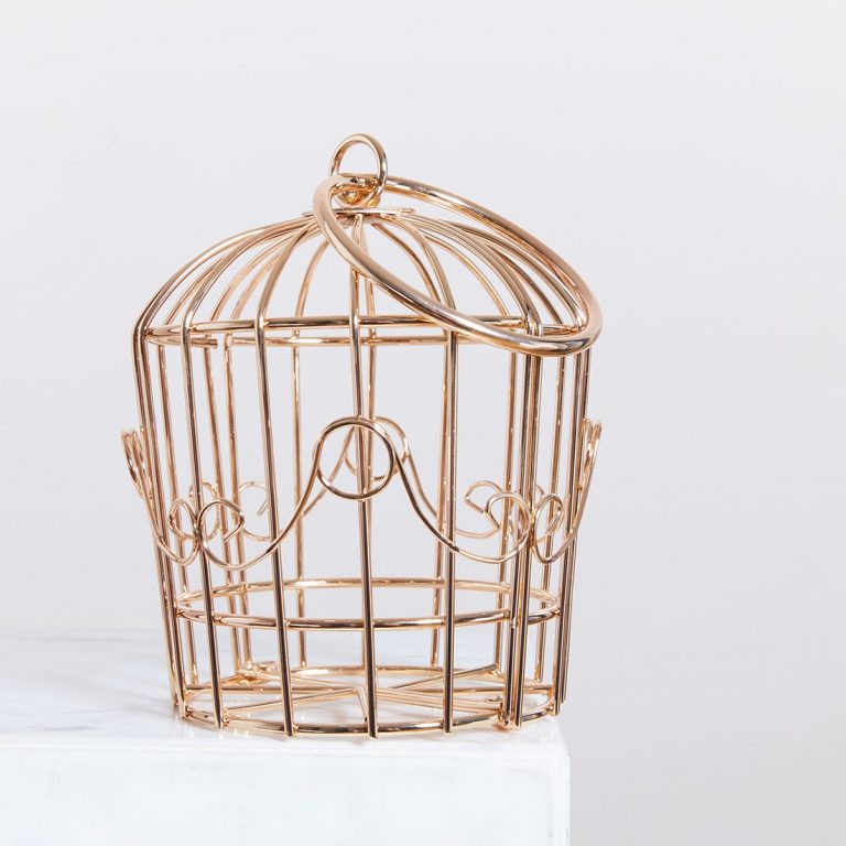 Sac L'AMOUR EN CAGE – Image 1