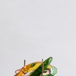 SET de 5 x Dildos en verre PRENDS TES VITAMINES 🥒