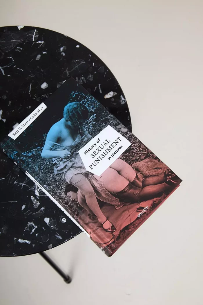 HISTORY of SEXUAL PUNISHMENT x Karl F. Sturer Collection – Image 1