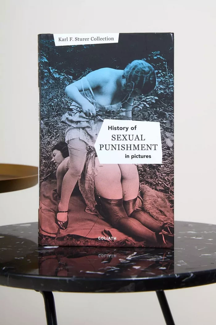 HISTORY of SEXUAL PUNISHMENT x Karl F. Sturer Collection – Image 11