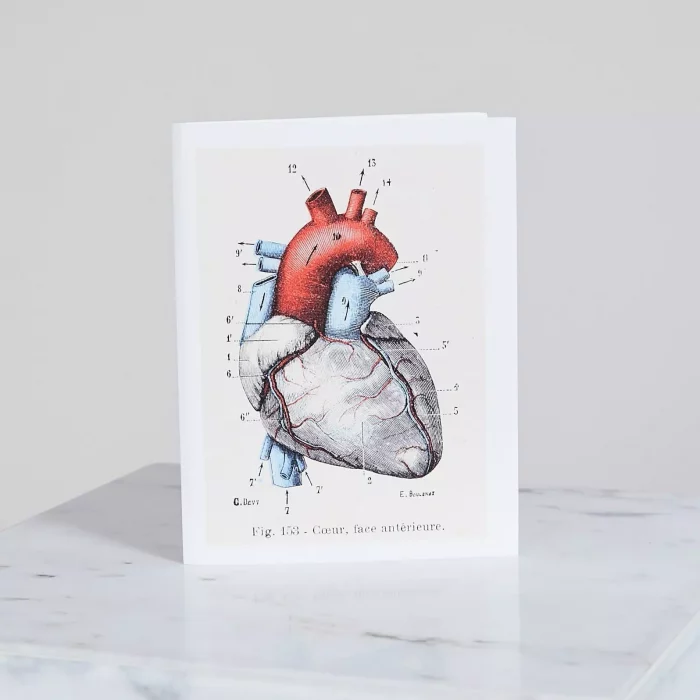 Petit Carnet MON COEUR A TOI 🇫🇷 – Image 1