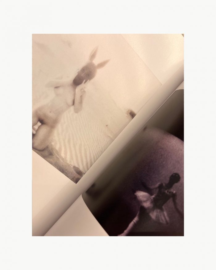 POLAROID VOL 1 - Shelbie Dimond 🇺🇸 – Image 4