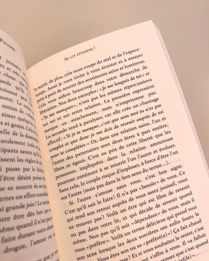 Au lit citoyens! - Le manifeste contre la société de la mal-baise (Ed. Augmentée) x Julia Palombe – Image 4
