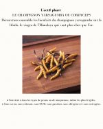 CRÈME DE PLAISIR personnel Confort & stimulation x YESforLOV 🇫🇷 – Image 5