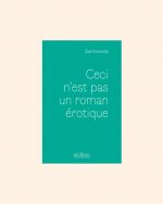 CECI N'EST PAS UN ROMAN EROTIQUE - Zoé Vintimille – Image 2