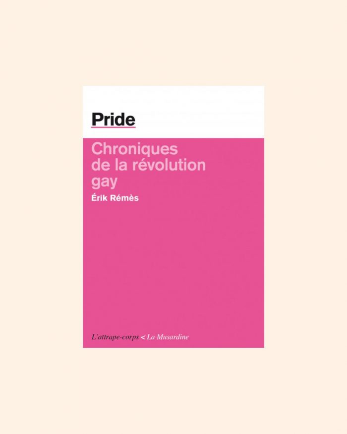 PRIDE, chroniques de la révolution gay - Erik Rémès – Image 2
