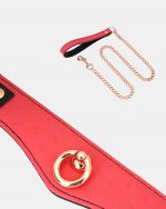Set 2 pièces Collier 'O-Ring Curve Large' + Laisse PINKPARADISE large x Liebe – Image 2