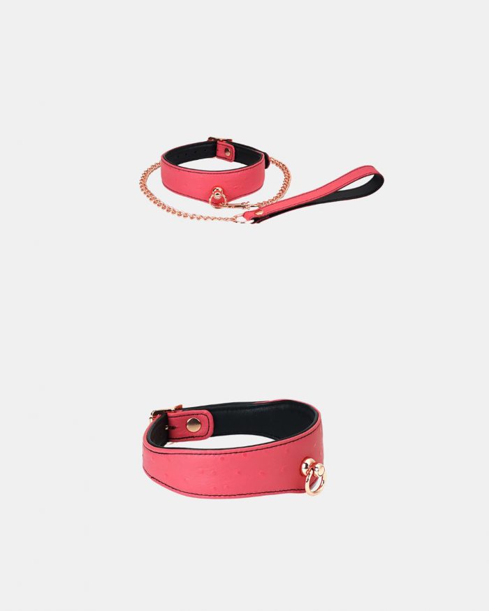 Set 2 pièces Collier 'O-Ring Curve' + Laisse PINKPARADISE x Liebe – Image 2