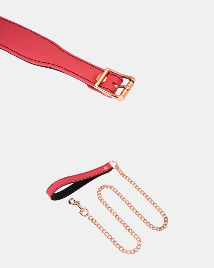 Set 2 pièces Collier 'O-Ring Curve' + Laisse PINKPARADISE x Liebe – Image 4