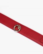 Set 2 Pièces THORN & ROSES Ⓥegan Collier + Laisse x Liebe – Image 11