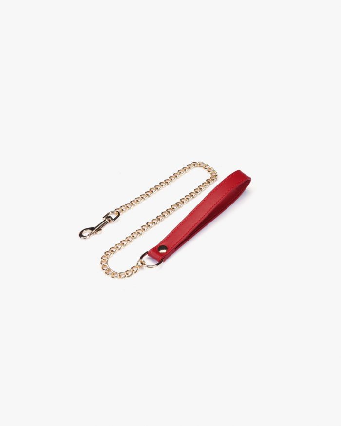 Set 2 Pièces THORN & ROSES Ⓥegan Collier + Laisse x Liebe – Image 14