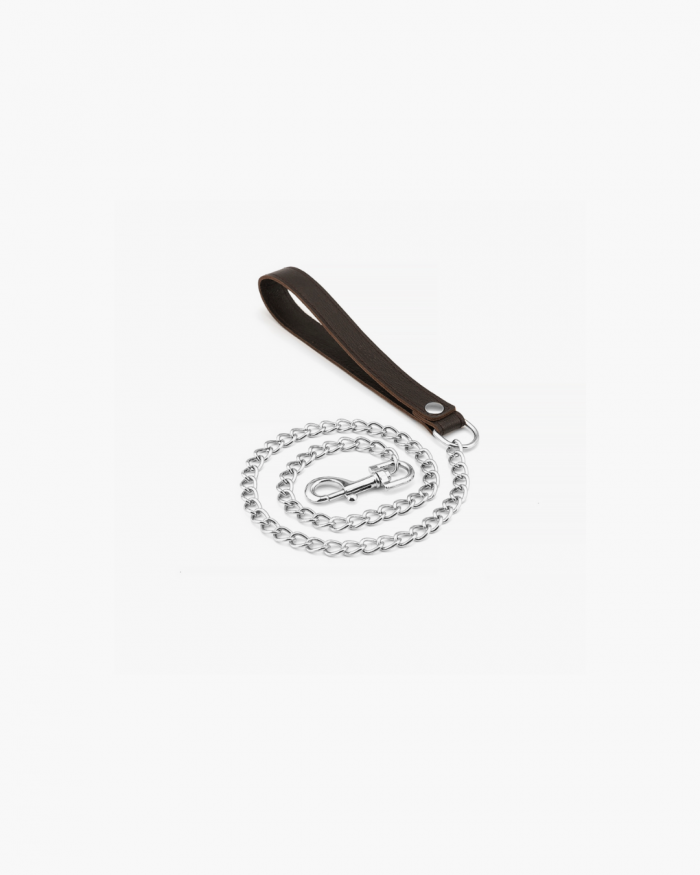 Set Collier + Laisse WILD GENTLEMAN – Image 9