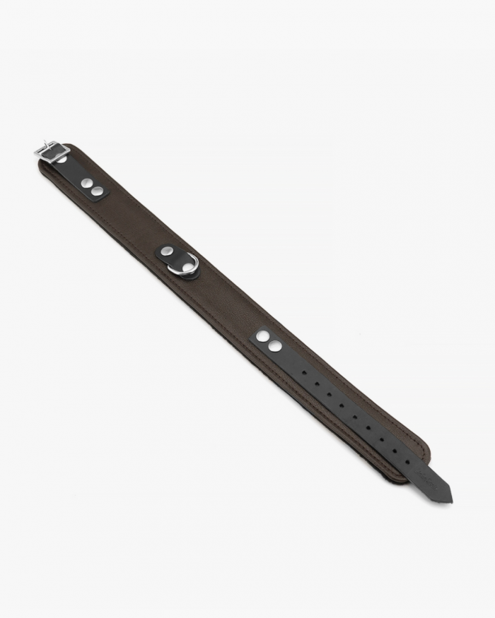 Set Collier + Laisse WILD GENTLEMAN – Image 8