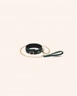 Set 2 pièces Collier de soumission + Laisse DRAMAGREEN x Liebe