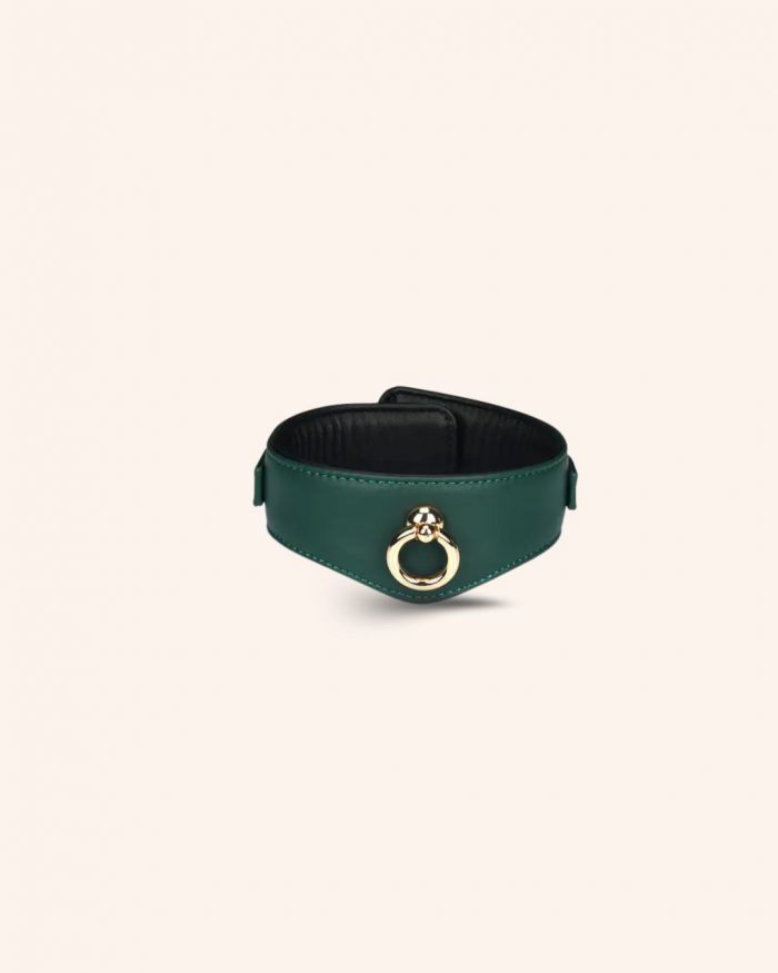 Set 2 pièces Collier 'O-Ring Curve' + Laisse DRAMAGREEN x Liebe – Image 6