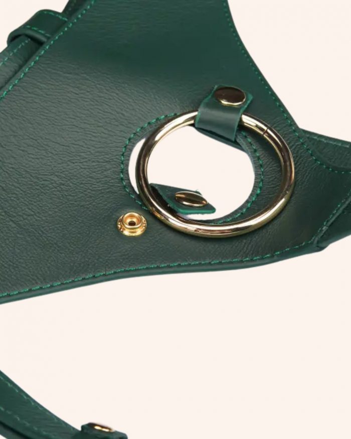 Harnais Strap-On DRAMAGREEN x Liebe – Image 3