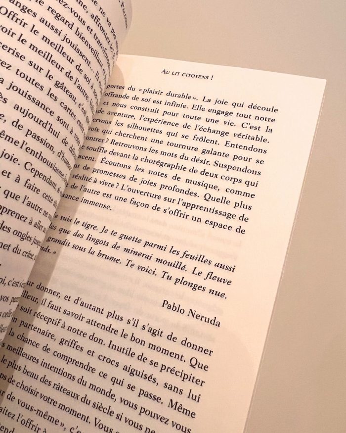 Au lit citoyens! - Le manifeste contre la société de la mal-baise (Ed. Augmentée) x Julia Palombe – Image 3