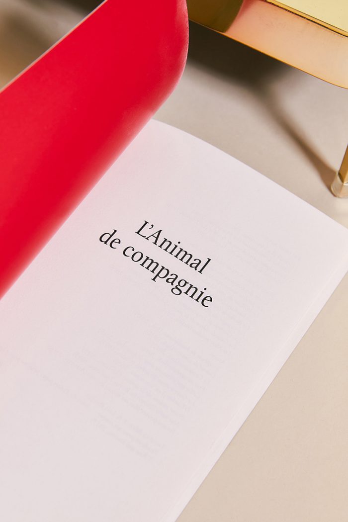 L'ANIMAL DE COMPAGNIE - Léo Barthe – Image 3