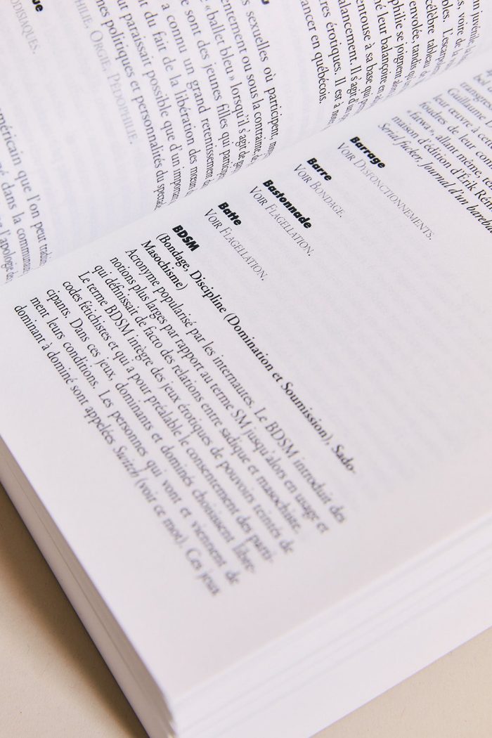 Dictionnaire des fantasmes et perversions - Brenda Love – Image 2