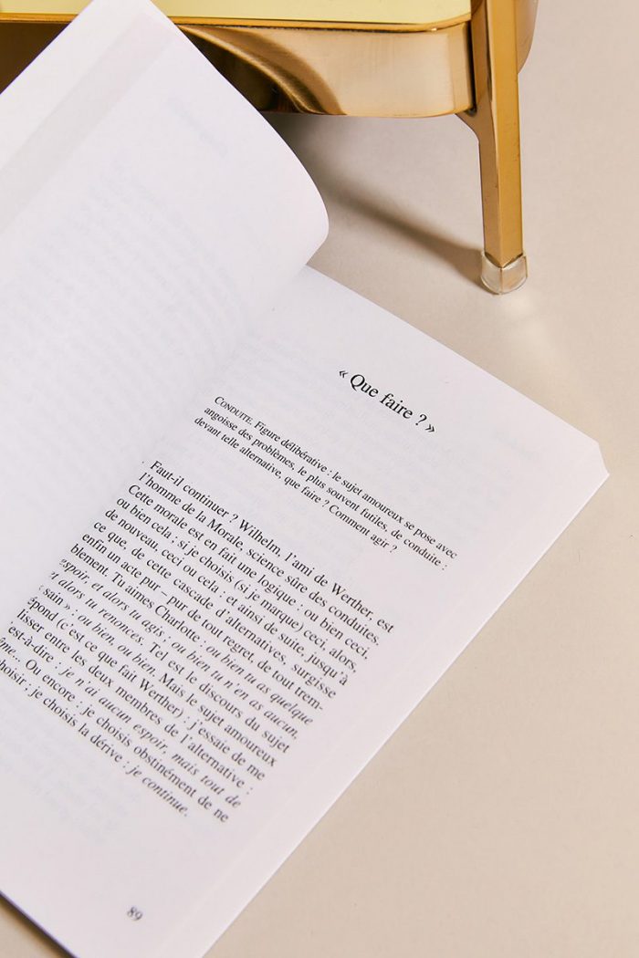 FRAGMENTS D'UN DISCOURS AMOUREUX - Roland Barthes – Image 9