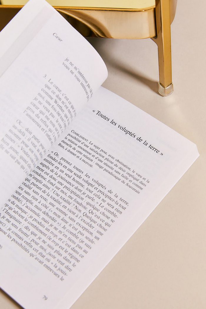 FRAGMENTS D'UN DISCOURS AMOUREUX - Roland Barthes – Image 10