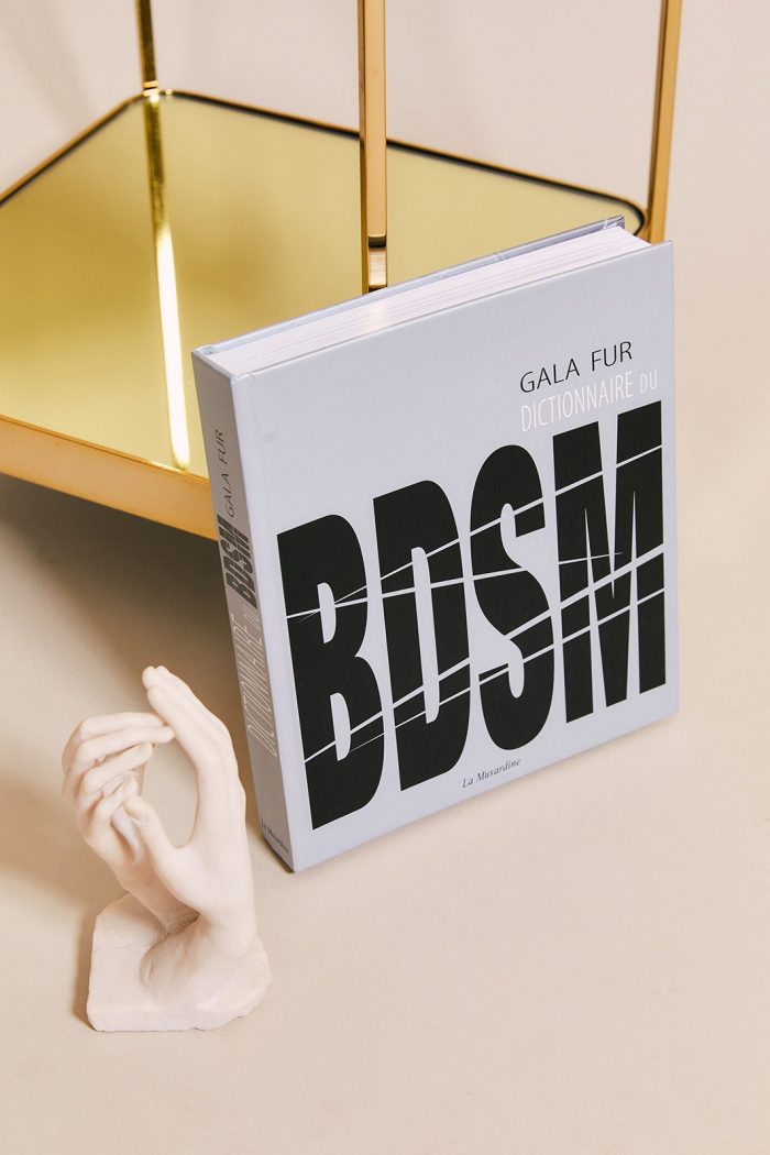 Dictionnaire illustré du BDSM – Image 1