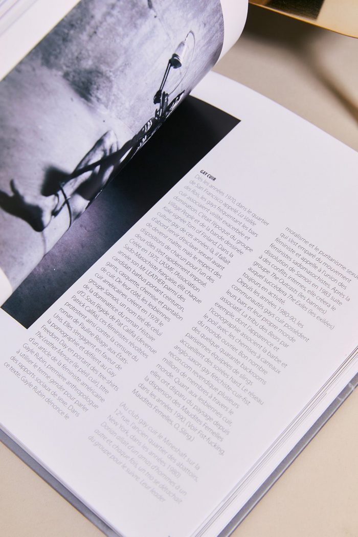 Dictionnaire illustré du BDSM – Image 4