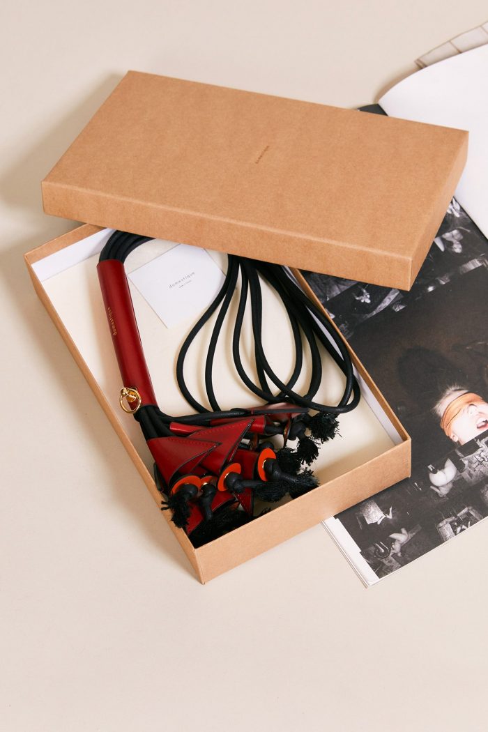 Mini BLOSSOM WHIP x Domestique 🇫🇷 – Image 3