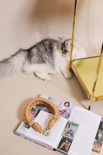 HENTAI Rope Collar 'Lockable' x Liebe – Image 9