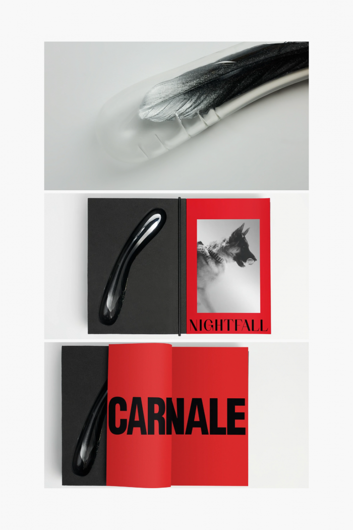 Dildo HEAVEN Silver Chrome Ed.Limitée x NIGHTFALL – Image 1