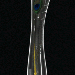 Dildo HEAVEN Peacock x NIGHTFALL