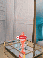 Plug anal The ChristmASS 🇫🇷 x Thomas Segaud – Image 4