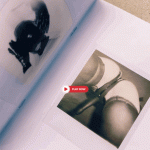 ZINE: The Berlin Chameleon - Archives 01