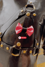 Harnais SG en latex LIKE A TOY x Kinky X Latex 🇫🇷 – Image 2
