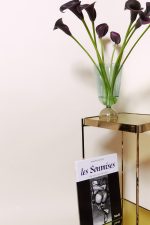 Les Soumises : Séances de dressage x DUVET Xavier – Image 8