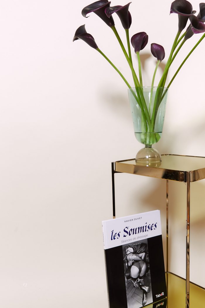 Les Soumises : Séances de dressage x DUVET Xavier – Image 8