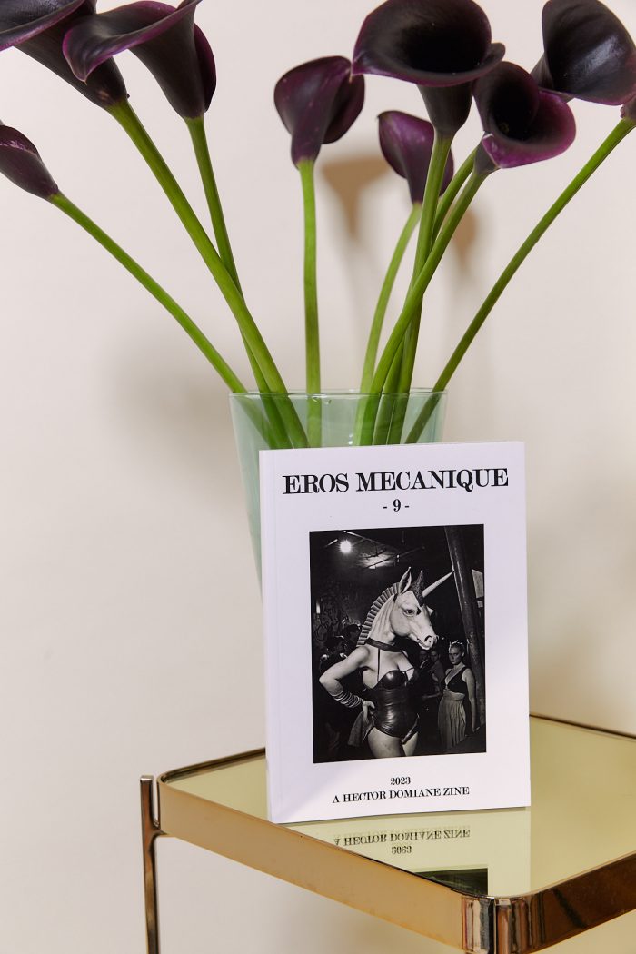 Eros Mecanique 9 - Pony Boys & Girls 🇫🇷🇬🇧 – Image 3