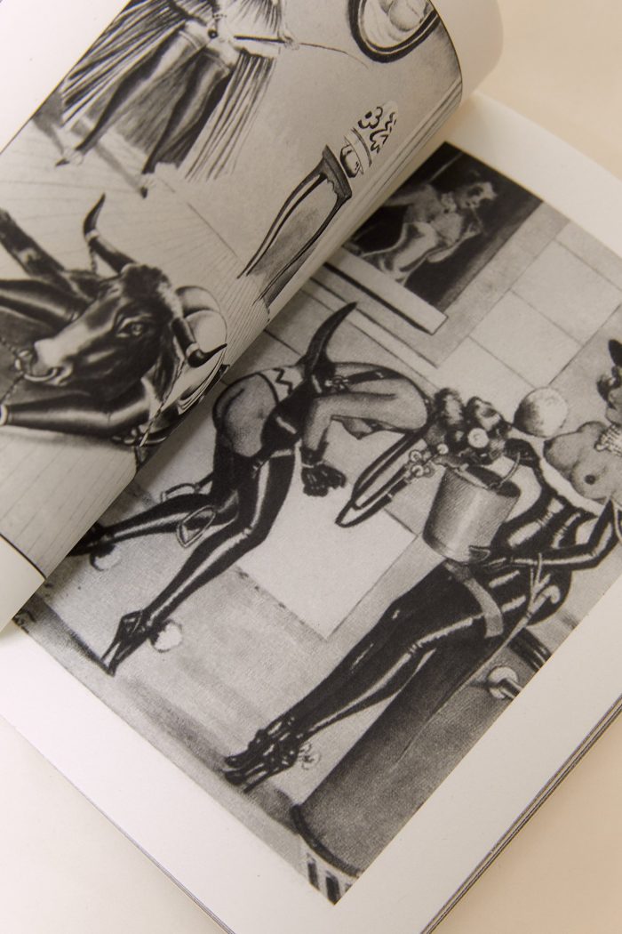 Eros Mecanique 9 - Pony Boys & Girls 🇫🇷🇬🇧 – Image 7