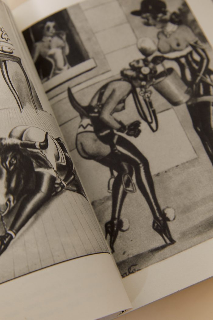 Eros Mecanique 9 - Pony Boys & Girls 🇫🇷🇬🇧 – Image 8