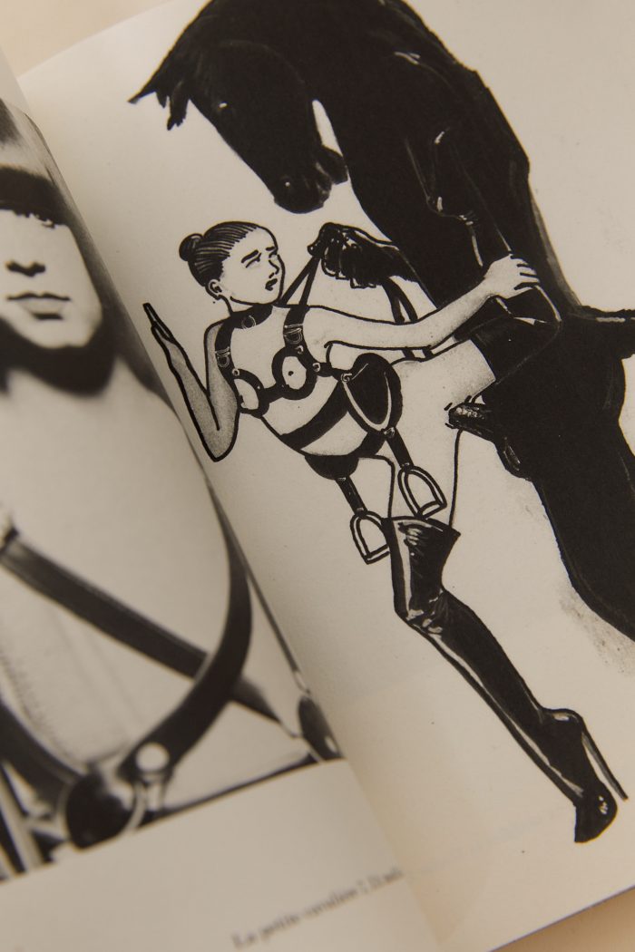 Eros Mecanique 9 - Pony Boys & Girls 🇫🇷🇬🇧 – Image 10