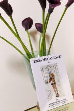 Eros Mecanique 8 Japan Erotism 🇫🇷🇬🇧 – Image 2