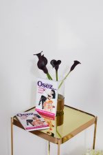 Osez... DRESSER VOTRE MARI