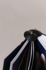 Nippies pour les seins THE CLAW x KashKash 🇫🇷 – Image 6