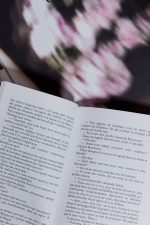 TELENY (Ed. Collector) x Oscar Wilde 🇫🇷 – Image 2