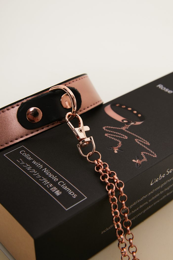 MY LITTLE SUB Choker et ses Pince à seins x Liebe – Image 7